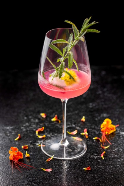 Cocktails Karuma